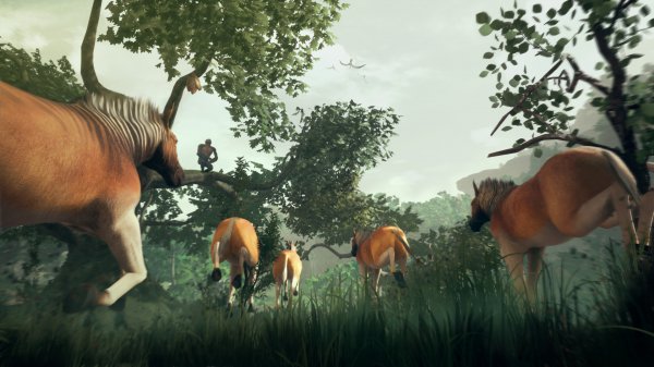 《先祖：人类奥德赛》PC版发售 在非洲大陆为生存奋斗