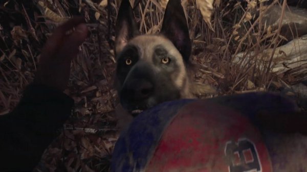 《布莱尔女巫》发布新演示 一人一狗勇闯恐怖森林